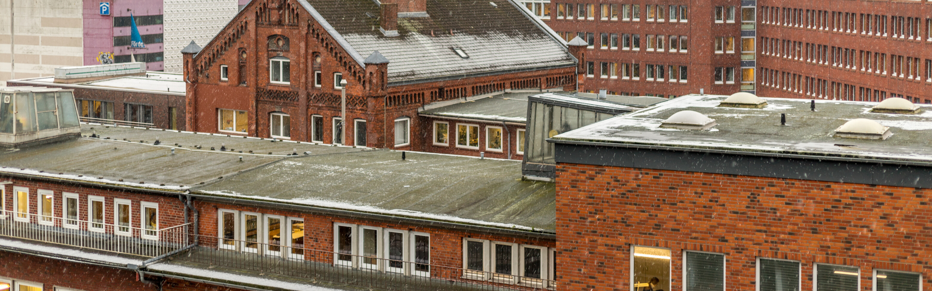 Lady bail bonds Ansonia