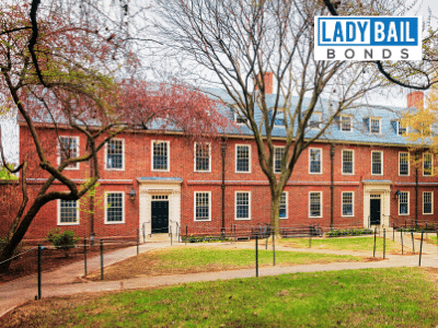 Lady bail bonds Danielson