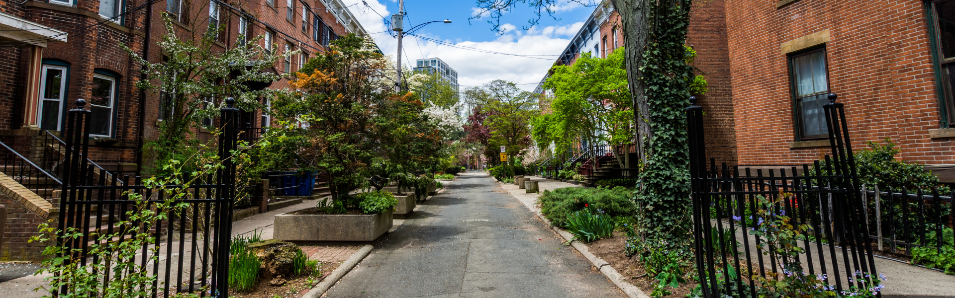 Lady bail bonds Ellington