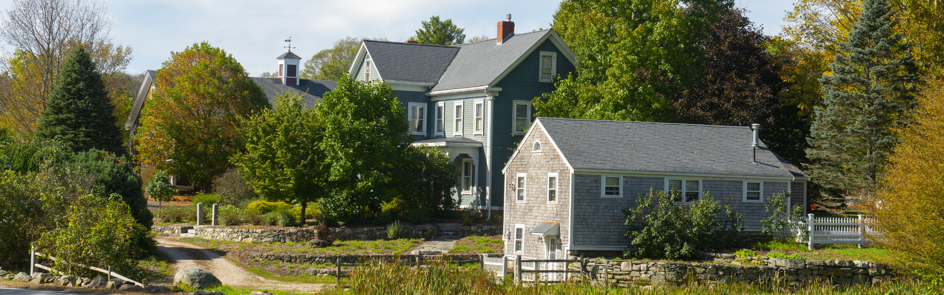 Lady bail bonds Essex