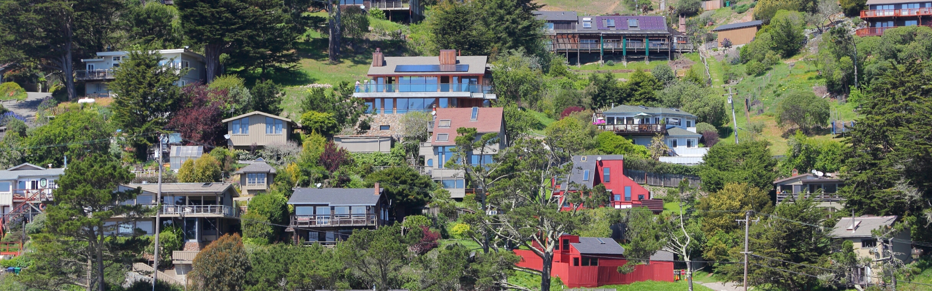 Lady bail bonds Hebron