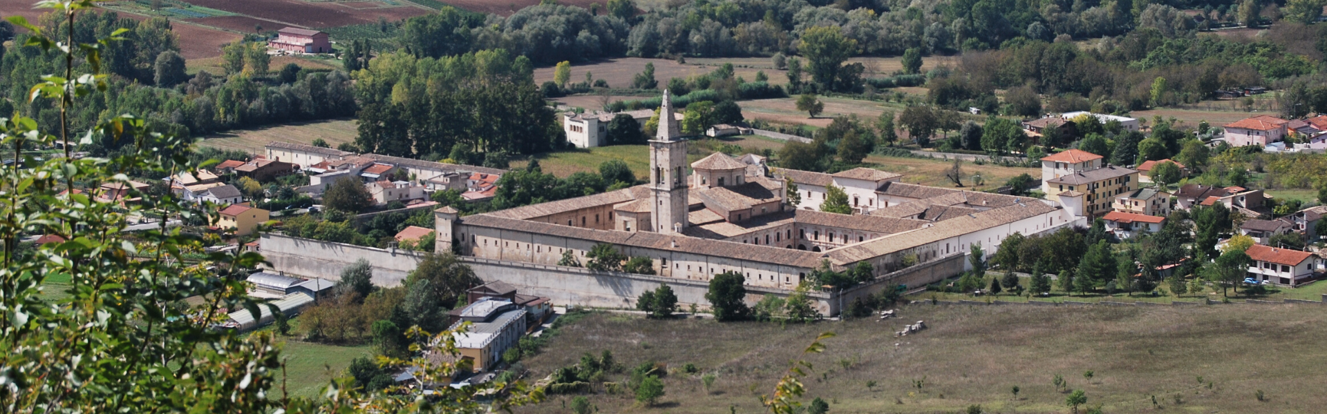 Lady bail bonds Mansfield