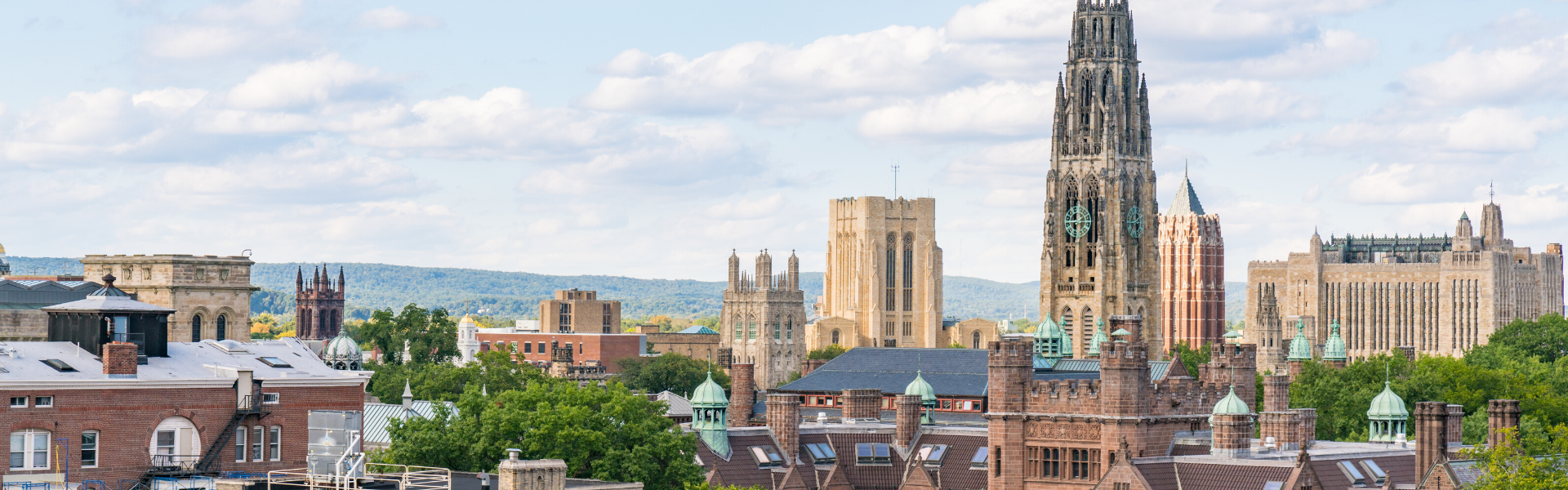 Lady bail bonds New Haven