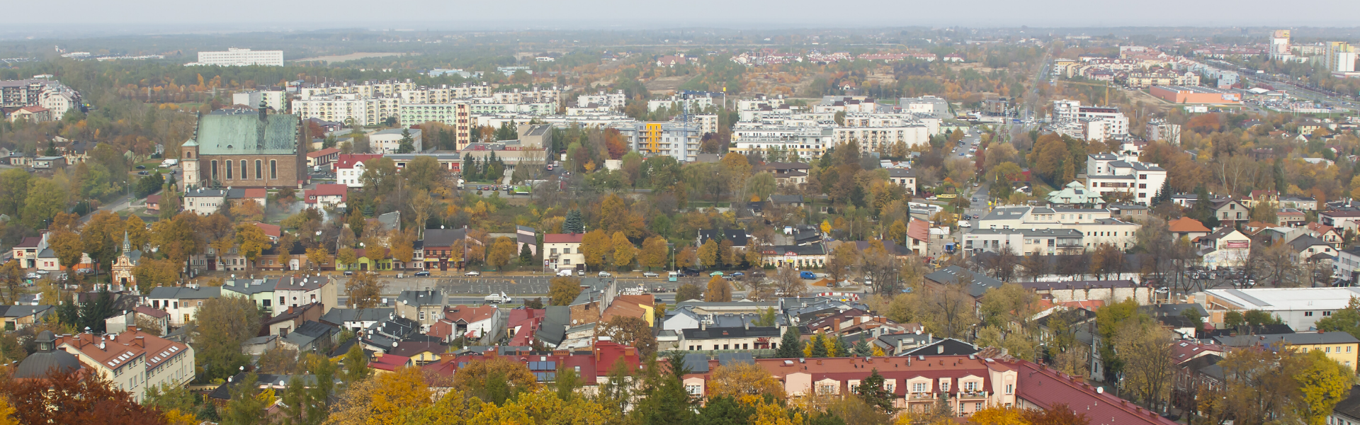 Lady bail bonds Newtown