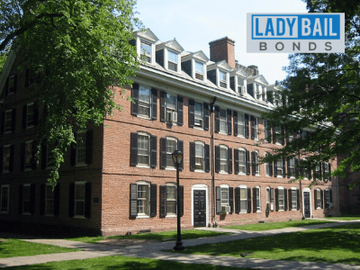 Lady bail bonds North Haven 1