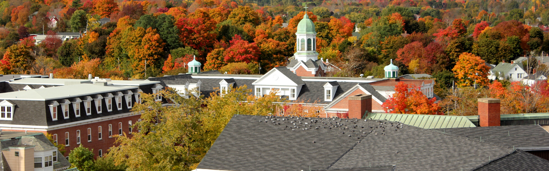 Lady bail bonds Orange
