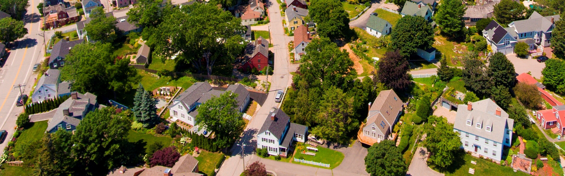 Lady bail bonds Portland