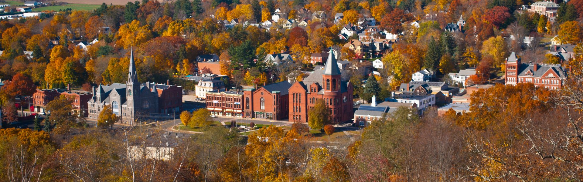 Lady bail bonds Rockville