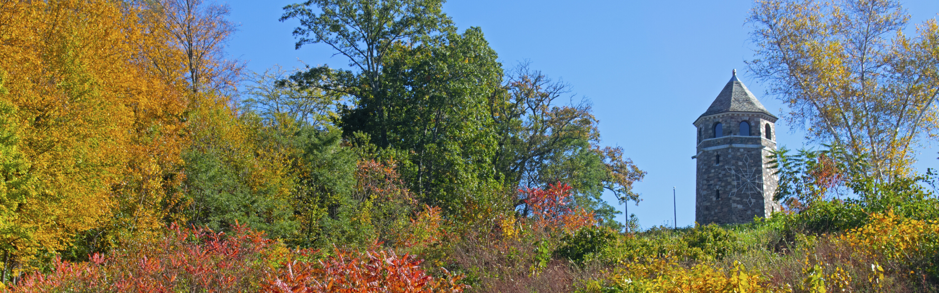 Lady bail bonds Vernon