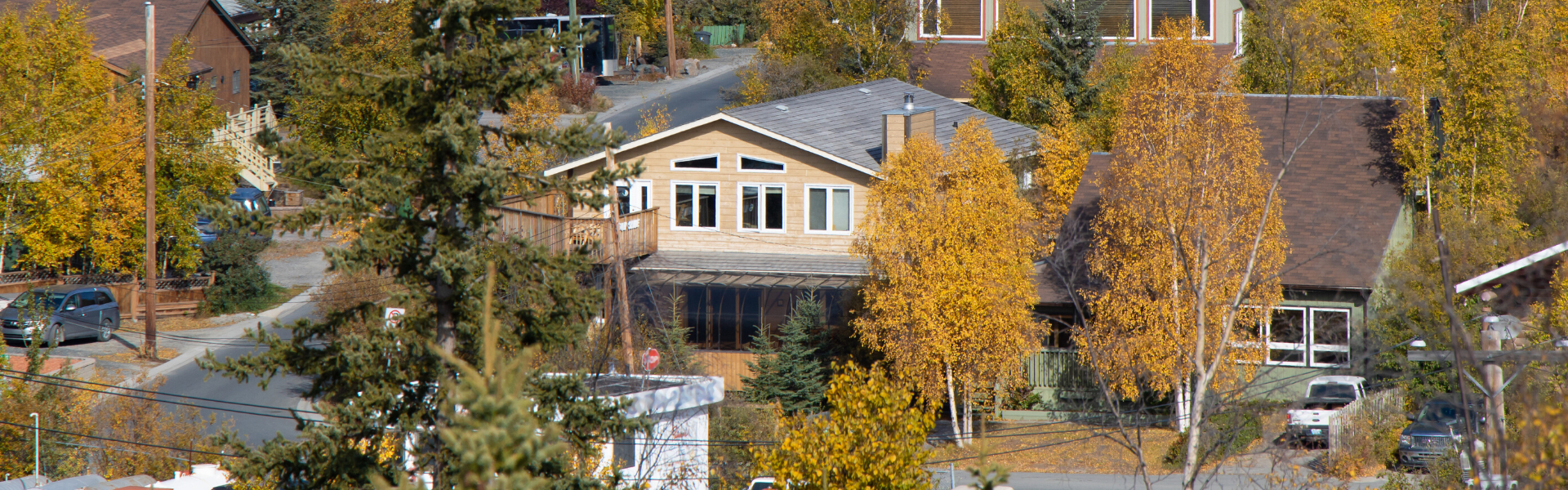 Lady bail bonds Washington