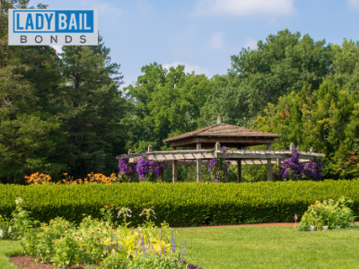 Lady bail bonds West Hartford 2