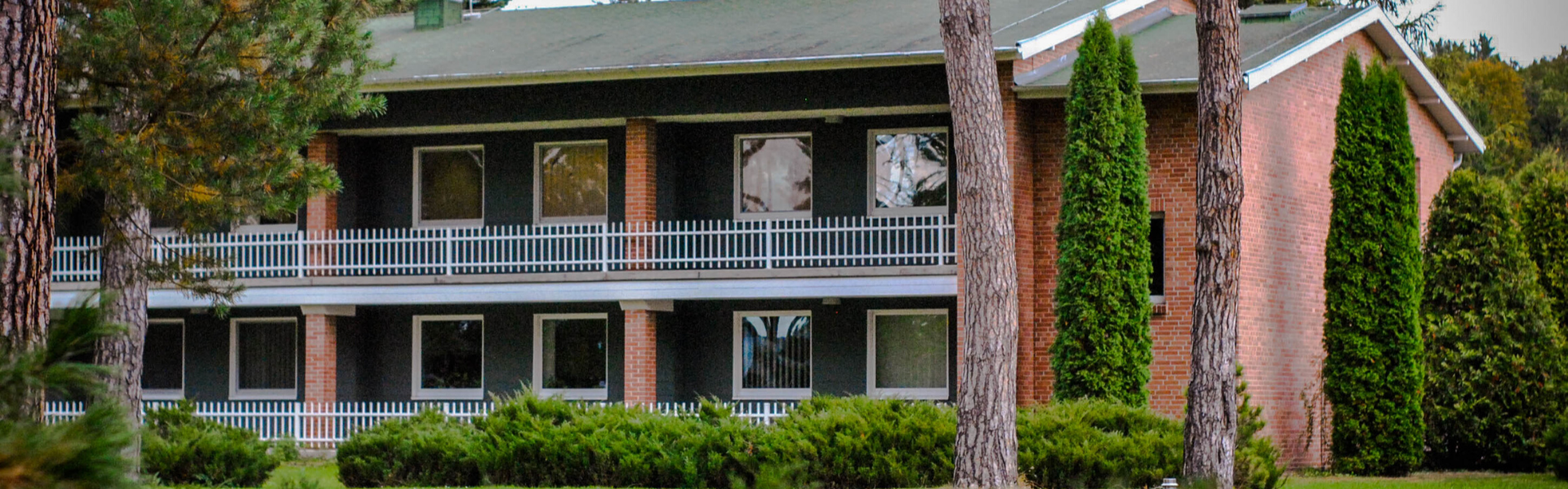 Lady bail bonds Wolcott